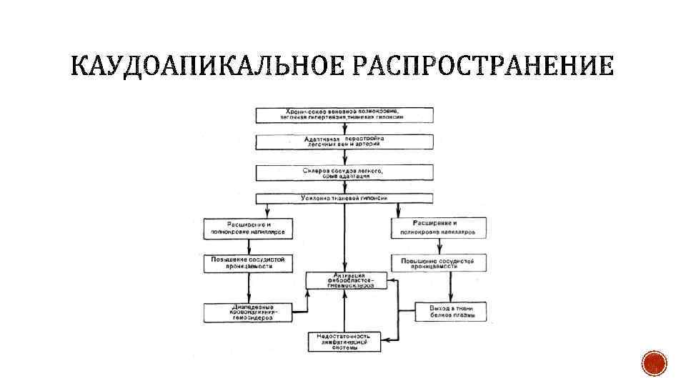 Патанатомия в схемах и таблицах благодаров