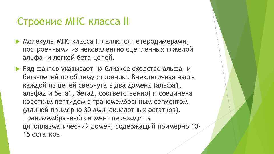 Строение MHC класса II Молекулы MHC класса II являются гетеродимерами, построенными из нековалентно сцепленных