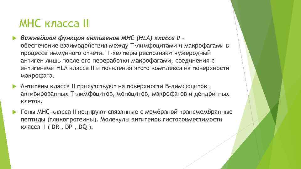 MHC класса II Важнейшая функция антигенов MHC (HLA) класса II обеспечение взаимодействия между Т-лимфоцитами