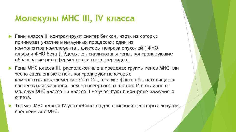 Молекулы MHC III, IV класса Гены класса III контролируют синтез белков, часть из которых