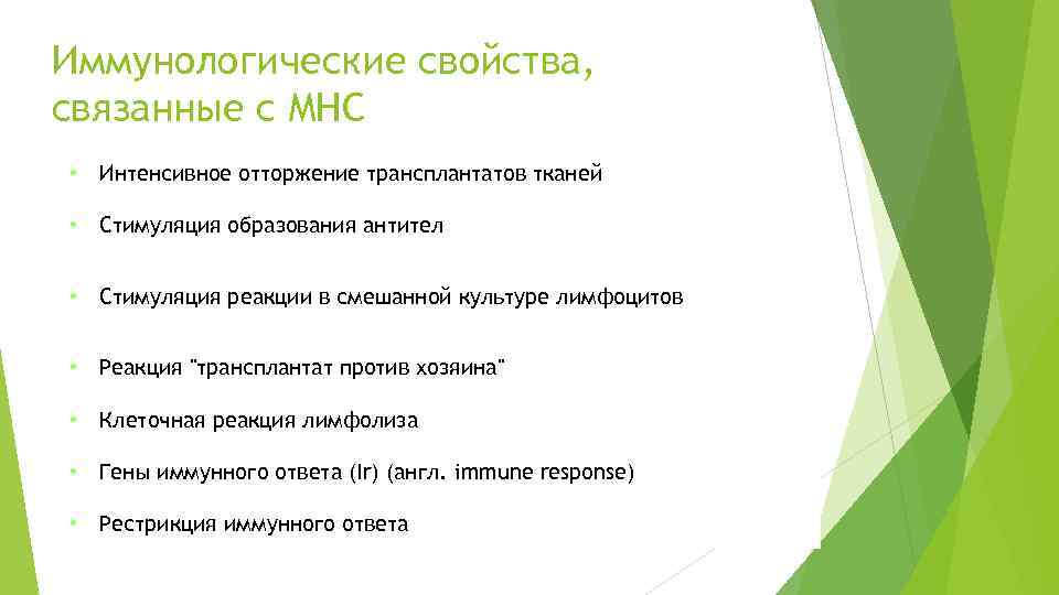 Иммунологические свойства, связанные с MHC • Интенсивное отторжение трансплантатов тканей • Стимуляция образования антител