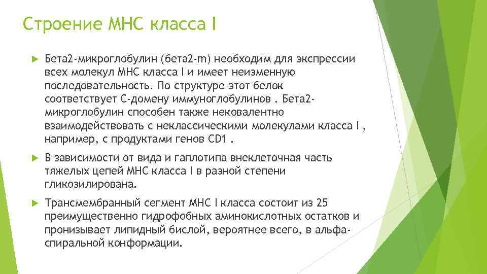 Строение MHC класса I Бета 2 -микроглобулин (бета 2 -m) необходим для экспрессии всех