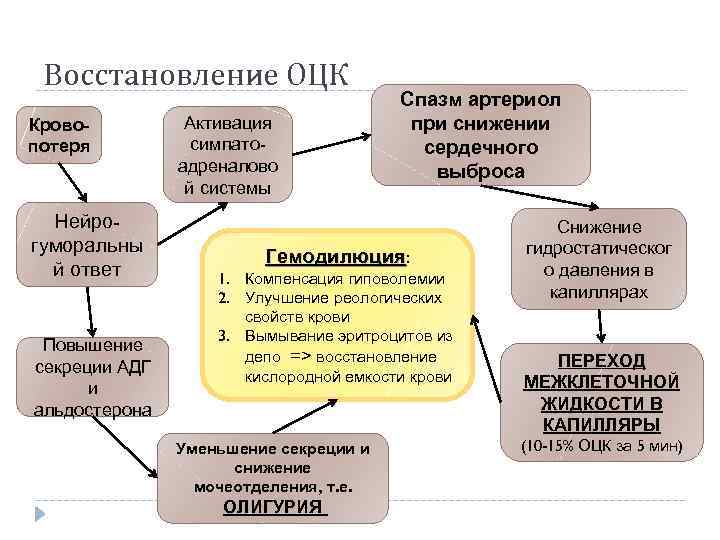 Восстановление ОЦК Кровопотеря Нейрогуморальны й ответ Повышение секреции АДГ и альдостерона Активация симпатоадреналово й