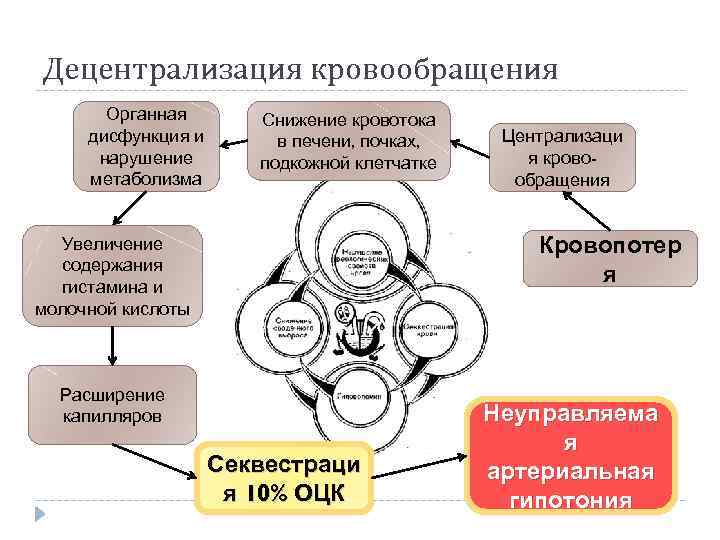 Децентрализация кровообращения Органная дисфункция и нарушение метаболизма Снижение кровотока в печени, почках, подкожной клетчатке