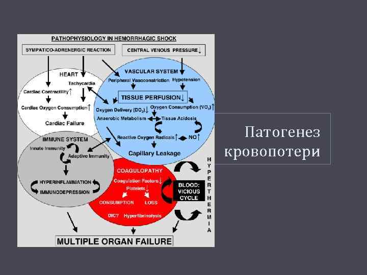 Патогенез кровопотери 
