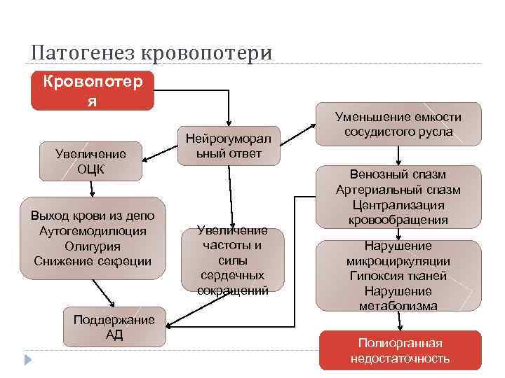 Патогенез кровопотери Кровопотер я Увеличение ОЦК Выход крови из депо Аутогемодилюция Олигурия Снижение секреции