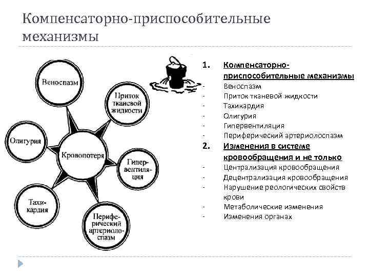 Компенсаторно-приспособительные механизмы 1. - 2. - Компенсаторноприспособительные механизмы Веноспазм Приток тканевой жидкости Тахикардия Олигурия