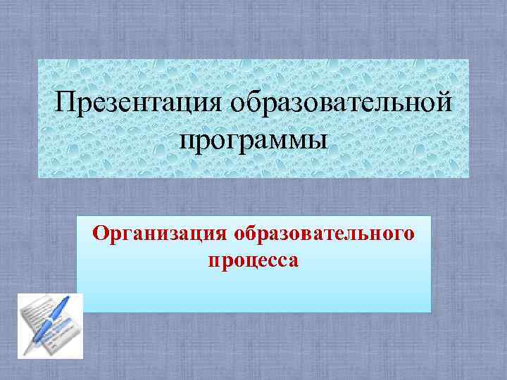 Презентация образовательной программы Организация образовательного процесса 