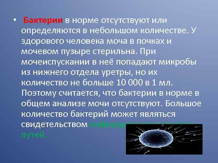  • Бактерии в норме отсутствуют или определяются в небольшом количестве. У здорового человека