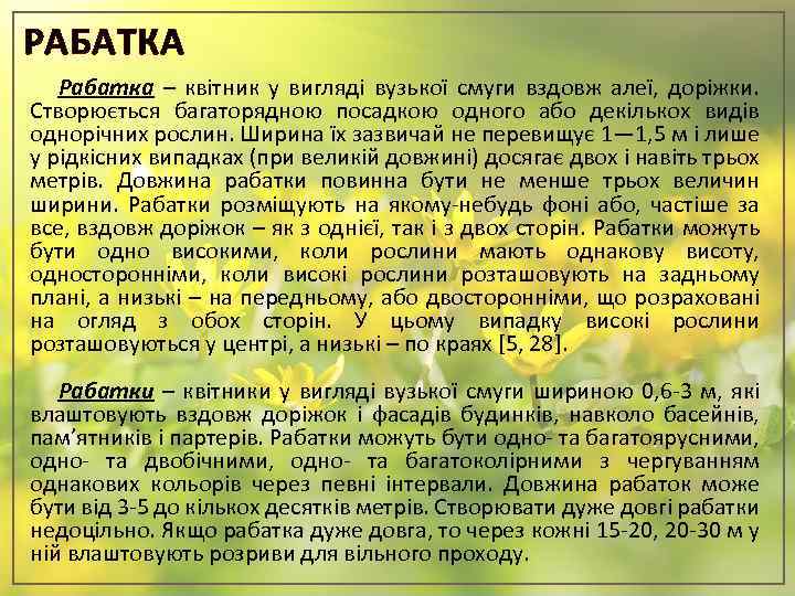 РАБАТКА Рабатка – квітник у вигляді вузької смуги вздовж алеї, доріжки. Створюється багаторядною посадкою