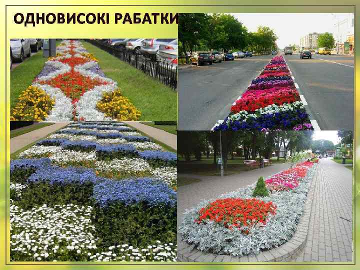 ОДНОВИСОКІ РАБАТКИ 