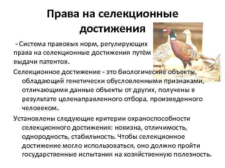 Права на селекционные достижения - Система правовых норм, регулирующих права на селекционные достижения путём