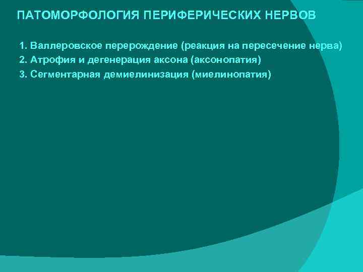 ПАТОМОРФОЛОГИЯ ПЕРИФЕРИЧЕСКИХ НЕРВОВ 1. Валлеровское перерождение (реакция на пересечение нерва) 2. Атрофия и дегенерация