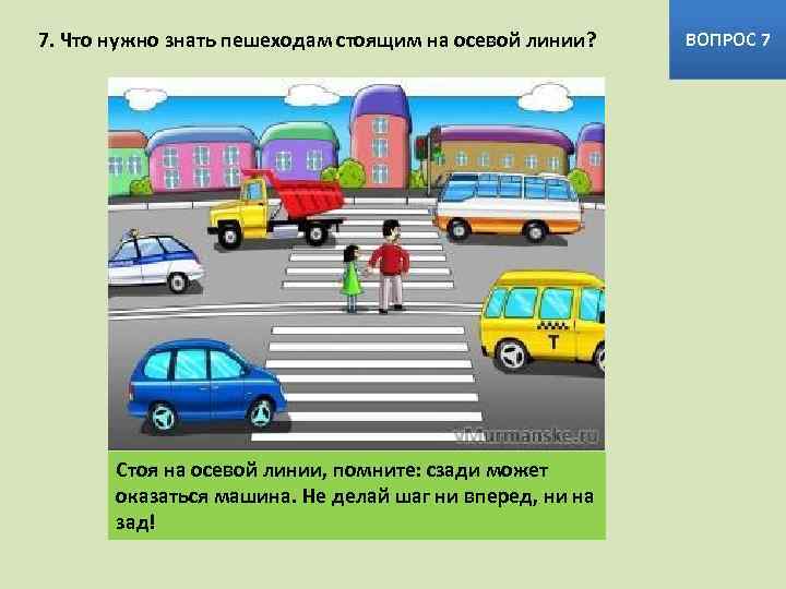 7. Что нужно знать пешеходам стоящим на осевой линии? Стоя на осевой линии, помните: