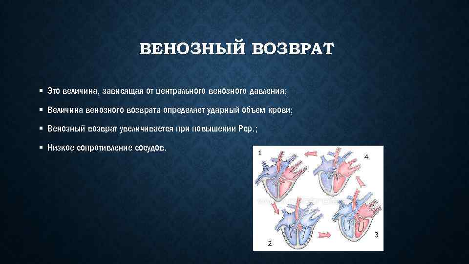 Центральное венозное. Венозный возврат. Факторы венозного возврата крови. Факторы венозного возврата крови к сердцу.. Венозный возврат крови.