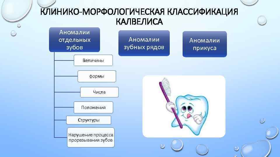 КЛИНИКО-МОРФОЛОГИЧЕСКАЯ КЛАССИФИКАЦИЯ КАЛВЕЛИСА Аномалии отдельных зубов Аномалии зубных рядов Величины формы Числа Положения Структуры