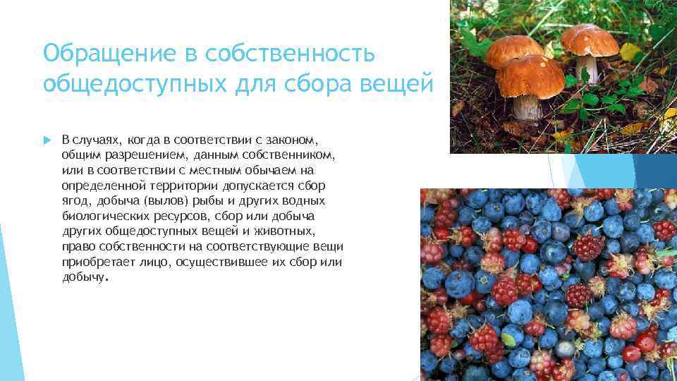 Обращение в собственность общедоступных для сбора вещей В случаях, когда в соответствии с законом,