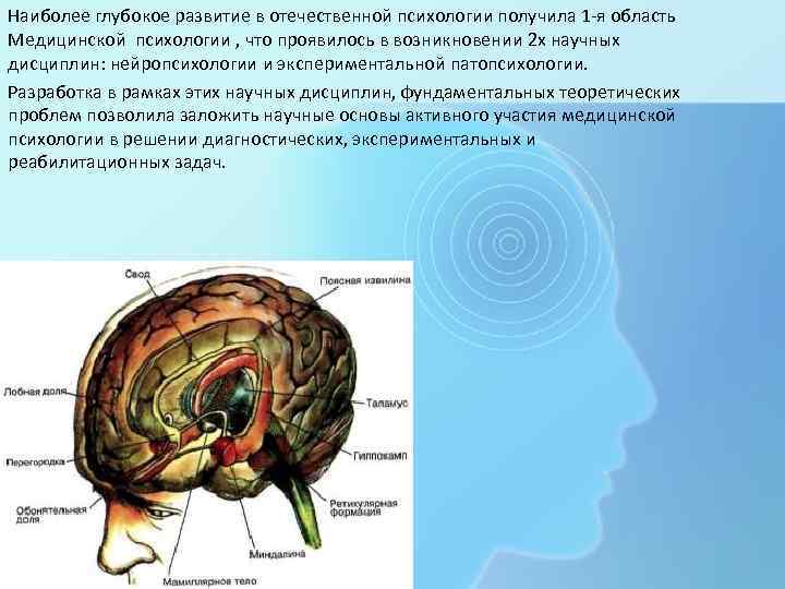 Наиболее глубокое развитие в отечественной психологии получила 1 -я область Медицинской психологии , что