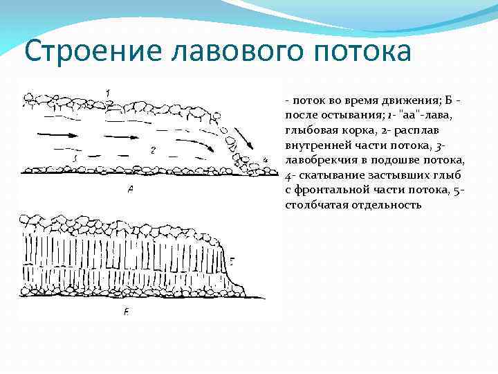 Каково строение лавовых потоков в плане и разрезе