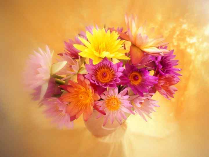 *СПАСИБО ЗА ВНИМАНИЕ! 