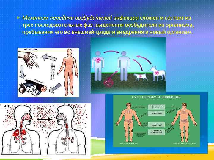 Механизмы передачи инфекции