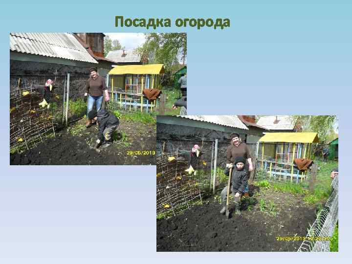 Посадка огорода 
