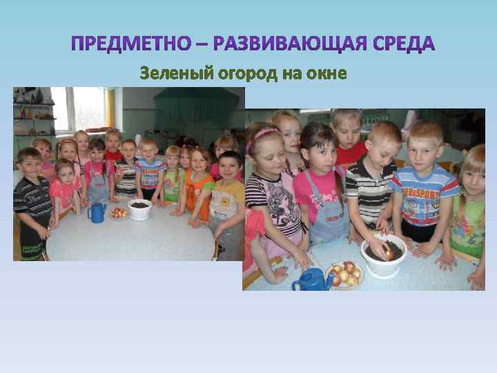 Зеленый огород на окне 