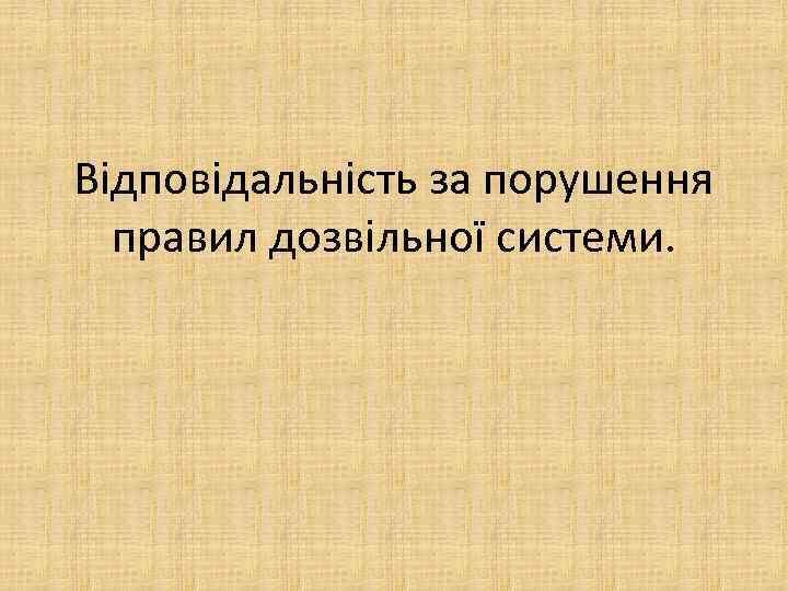 Відповідальність за порушення правил дозвільної системи. 