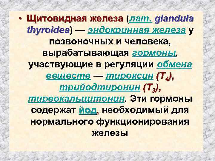  • Щитовидная железа (лат. glandula thyroidea) — эндокринная железа у позвоночных и человека,