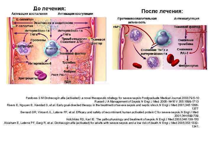 Pastores S M Drotrecogin alfa (activated): a novel therapeutic strategy for severe sepsis Postgraduate