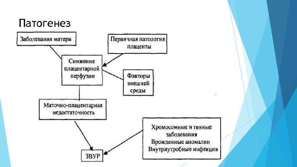 Патогенез 