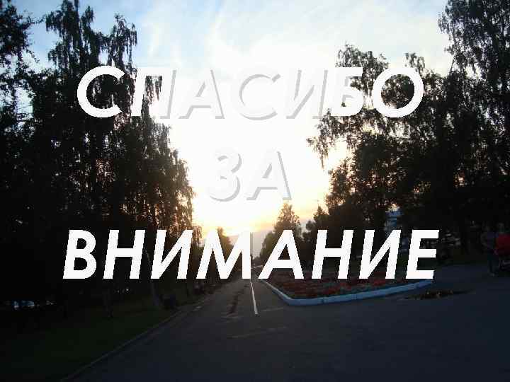СПАСИБО ЗА ВНИМАНИЕ 