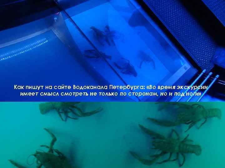 Как пишут на сайте Водоканала Петербурга: «Во время экскурсии имеет смысл смотреть не только