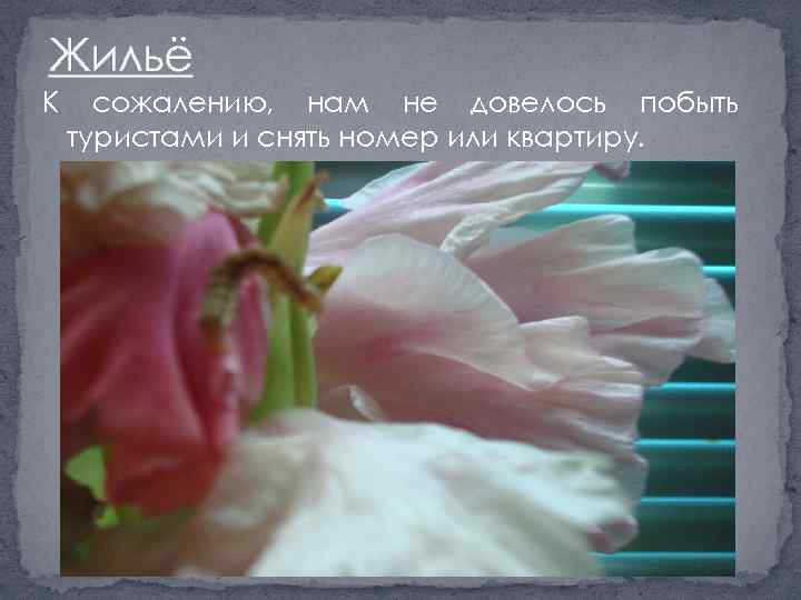 Жильё К сожалению, нам не довелось побыть туристами и снять номер или квартиру. 