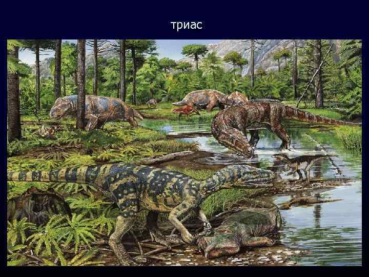 триас 