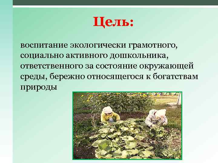 Цель: воспитание экологически грамотного, социально активного дошкольника, ответственного за состояние окружающей среды, бережно относящегося