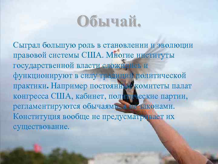 Обычай. Сыграл большую роль в становлении и эволюции правовой системы США. Многие институты государственной