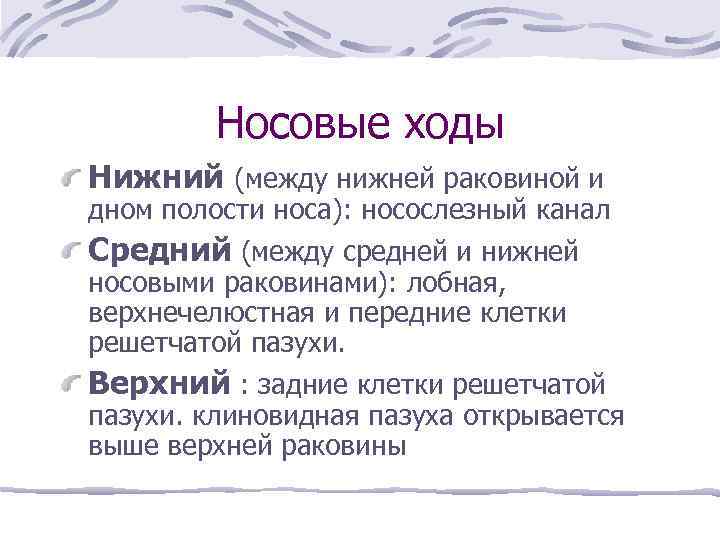 Носовые ходы Нижний (между нижней раковиной и дном полости носа): носослезный канал Средний (между
