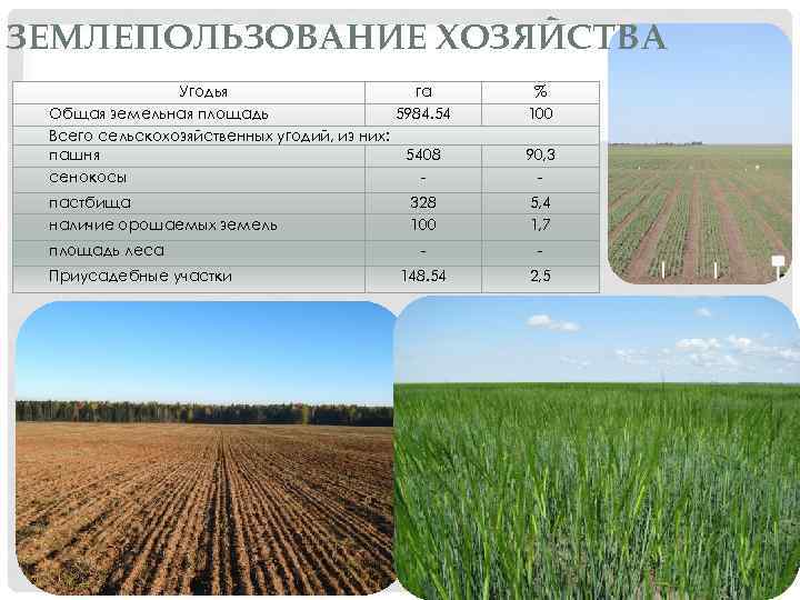 Площадь земель фермерского хозяйства 42 гектара