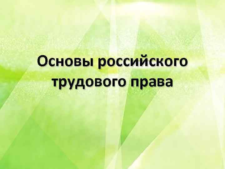 Основы российского трудового права 