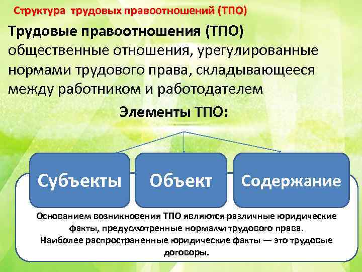 Структура трудовых правоотношений (ТПО) Трудовые правоотношения (ТПО) общественные отношения, урегулированные нормами трудового права, складывающееся