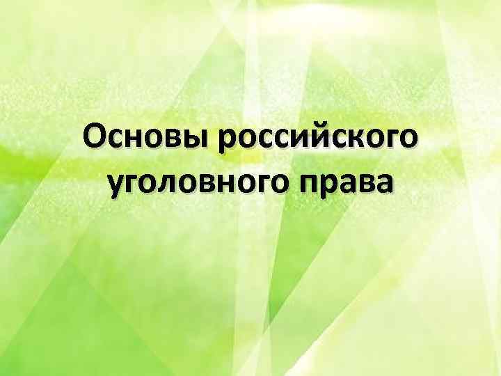 Основы российского уголовного права 