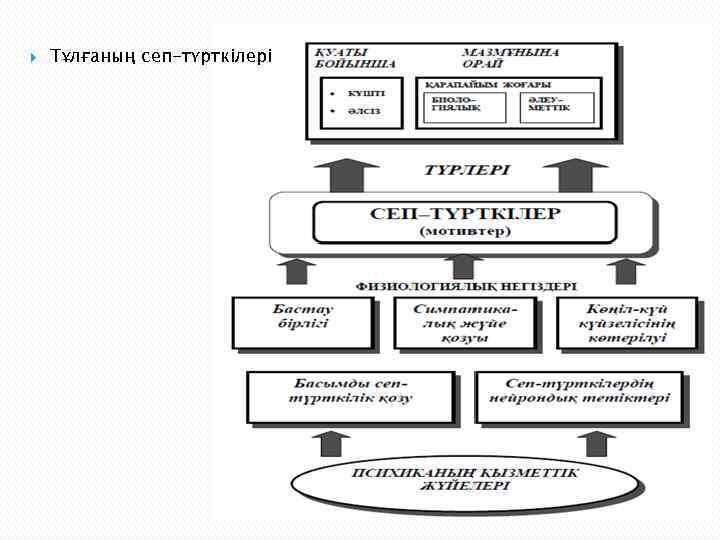  Тұлғаның сеп-түрткілері 