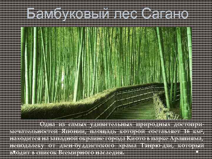 Бамбуковый лес Сагано Одна из самых удивительных природных достопримечательностей Японии, площадь которой составляет 16