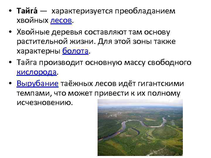  • Тайга — характеризуется преобладанием хвойных лесов. • Хвойные деревья составляют там основу