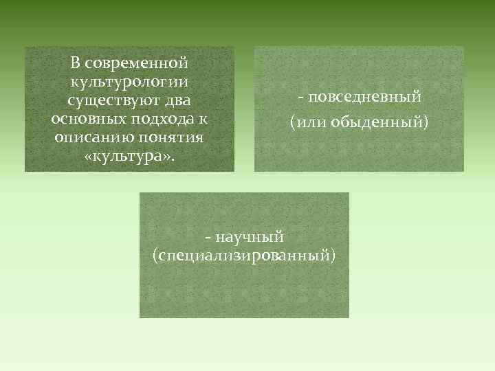 В современной культурологии существуют два основных подхода к описанию понятия «культура» . - повседневный