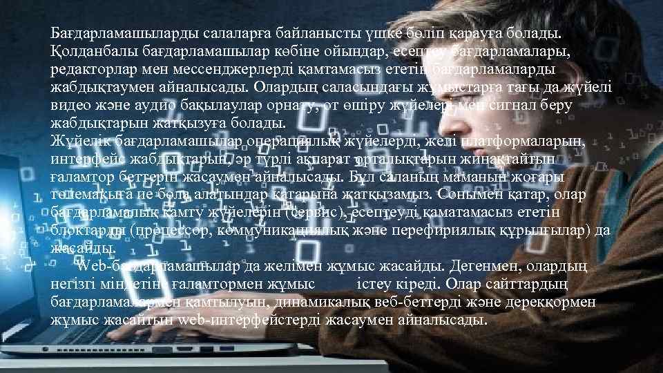 Бағдарламашыларды салаларға байланысты үшке бөліп қарауға болады. Қолданбалы бағдарламашылар көбіне ойындар, есептеу бағдарламалары, редакторлар