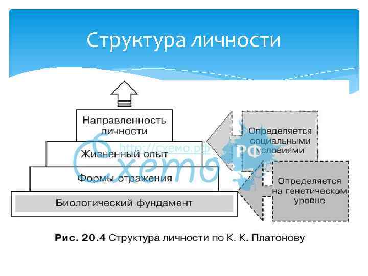 Структура личности 