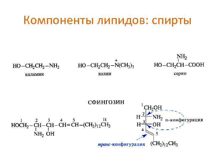 Компоненты липидов: спирты 