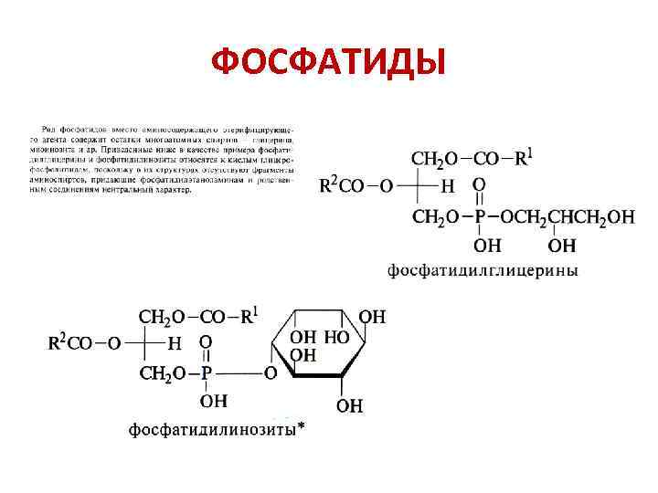 ФОСФАТИДЫ 